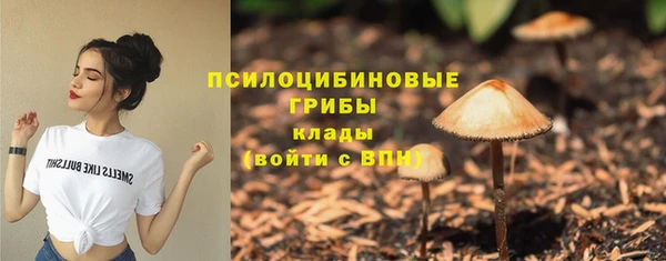 ешки Инсар