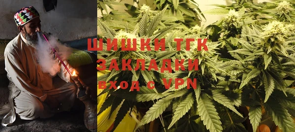 мдпв Семилуки
