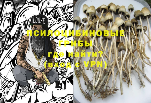 ешки Инсар