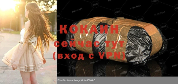 мдпв Семилуки