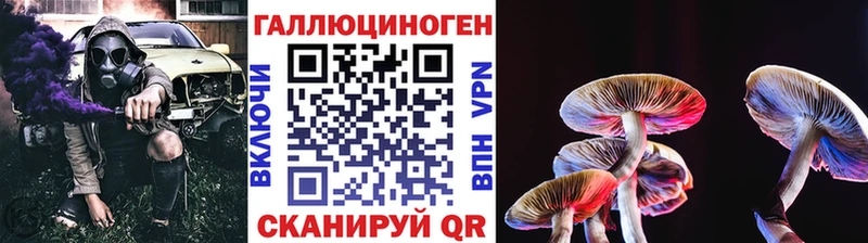Купить где  Заозёрный  Псилоцибиновые грибы GOLDEN TEACHER 